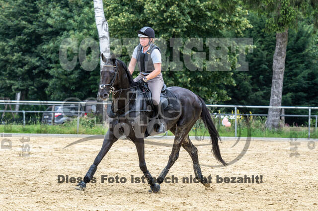 Hunter Geländetraining 10.07.2021 (Sonsbeck)