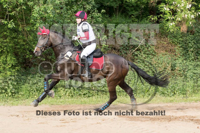 Vielseitigkeitsturnier ZRFV von Lützow Hamminkeln