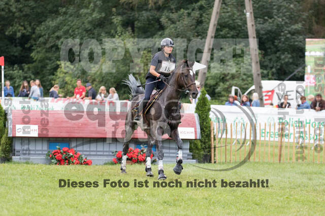 FEI European Championship