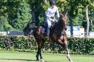 Kronenberg - De Peelbergen (August 2020)