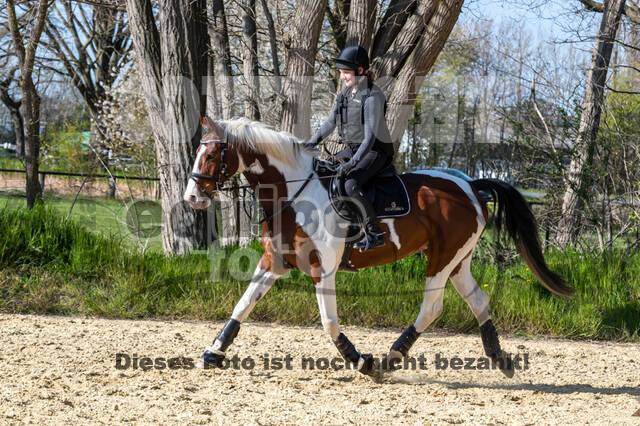 Geländetraining ZRFV Hamminkeln (24+25.04.2021)
