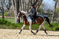 Geländetraining ZRFV Hamminkeln (24+25.04.2021)