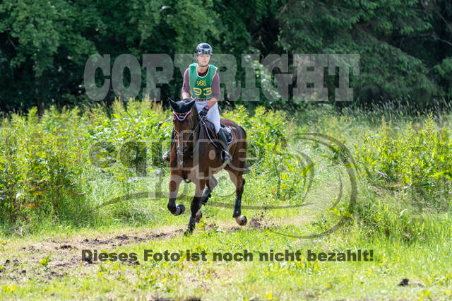 Westerstede Horse Trials (10.-13.06.2021)