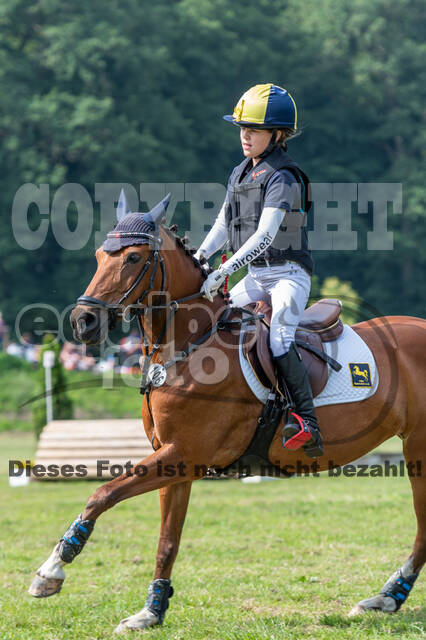 Goldene Schärpe 2021 - Ponys