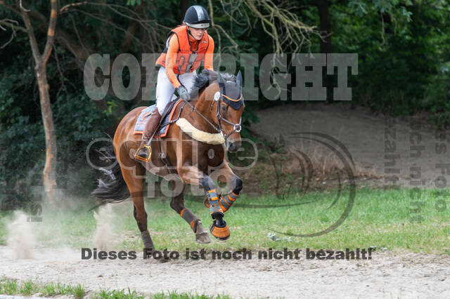 Late-Entry-Vielseitigkeit Langenfeld (11.+13./14.06.2020)