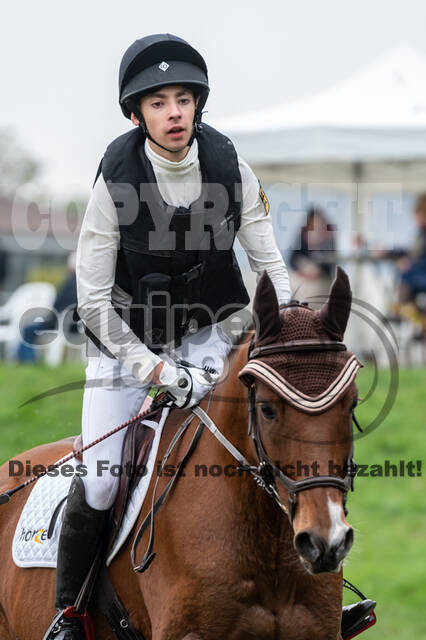 Goldene Schärpe 2020 - Pferde