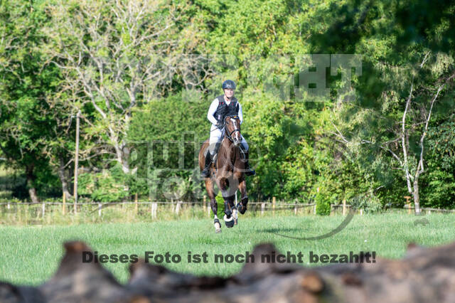 Bonn-Rodderberg Late-Entry-Vielseitigkeit (30.06.2020)