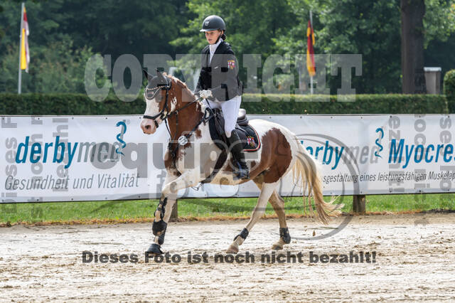 Goldene Schärpe 2021 - Ponys