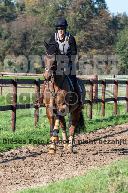 Vielseitigkeitslehrgang mit Jürg Kurbel (9.+10.11.2019)