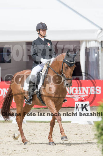 FEI European Championship Eventing 2017