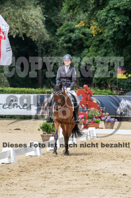 Goldene Schärpe 2021 - Ponys