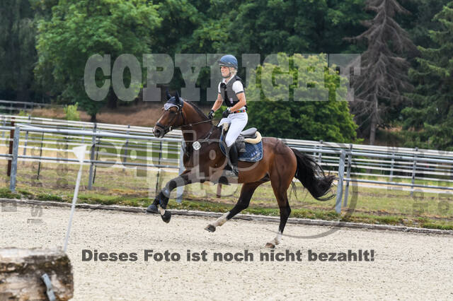 Late-Entry-Vielseitigkeit Langenfeld (11.+13./14.06.2020)