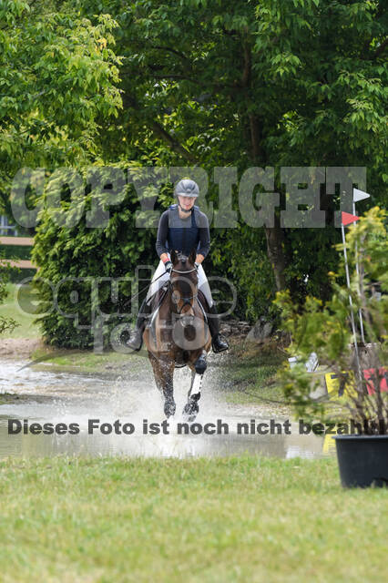 Late-Entry-Vielseitigkeit Langenfeld (11.+13./14.06.2020)