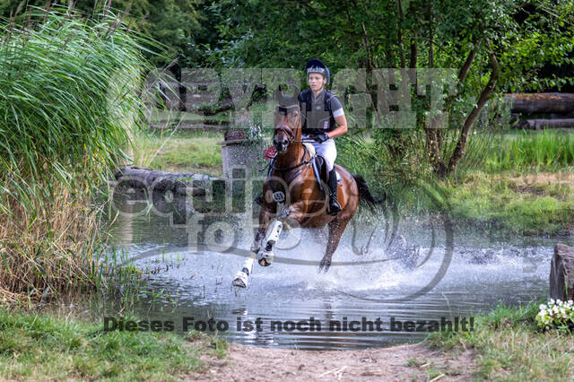 Late-Entry Vielseitigkeit Hamminkeln/Wesel (01.+02.08.2020)