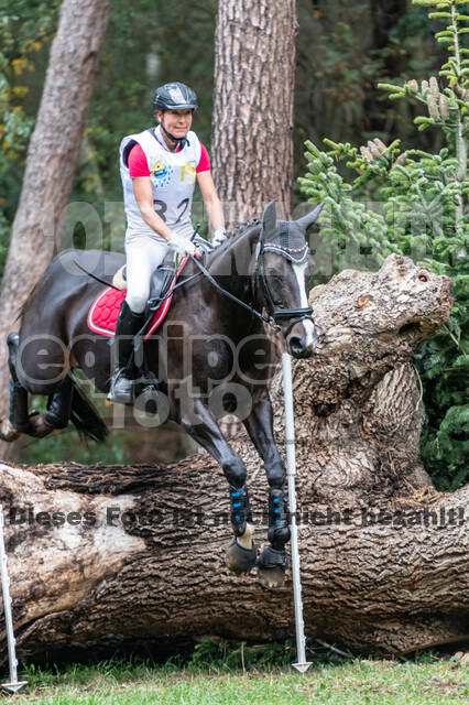 Vielseitigkeit RSV Wesel Obrighoven (26.+27.09.2020)