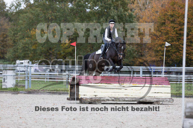 IGV Lehrgang der Sieger der Cups mit Frank Ostholt