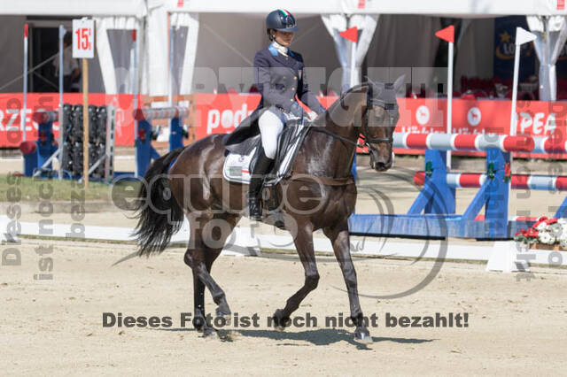 FEI European Championship