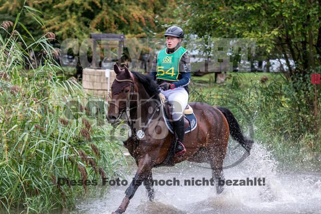 Vielseitigkeit RSV Wesel Obrighoven (26.+27.09.2020)