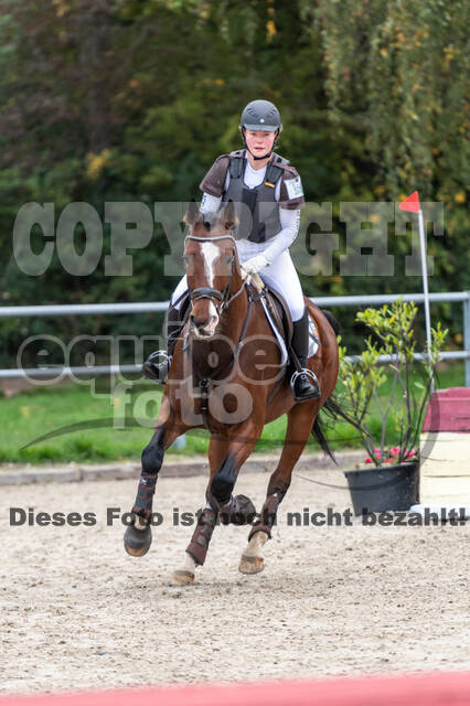 Goldene Schärpe 2020 - Pferde