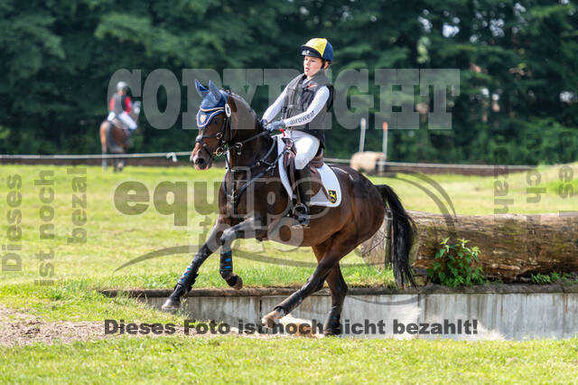 Goldene Schärpe 2021 - Ponys