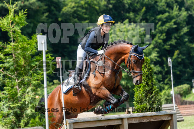 Goldene Schärpe 2021 - Ponys