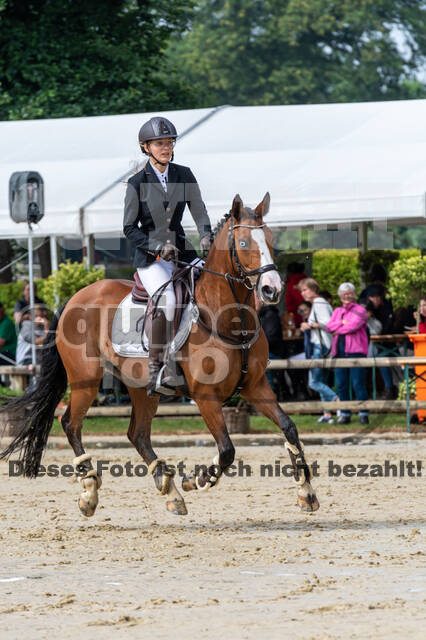 Goldene Schärpe 2021 - Ponys