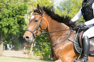 Geländetag ZRFV von Lützow Hamminkeln (19.05.2019)
