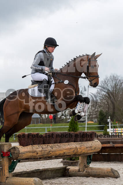 Eventing im Pferdesportzentrum Rheinland (Late Entry 14.03.2022)