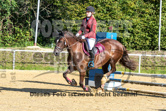 RFV Dinslaken-Hiesfeld (Herbstturnier)