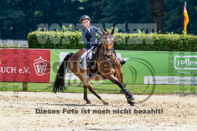 Goldene Schärpe 2021 - Ponys