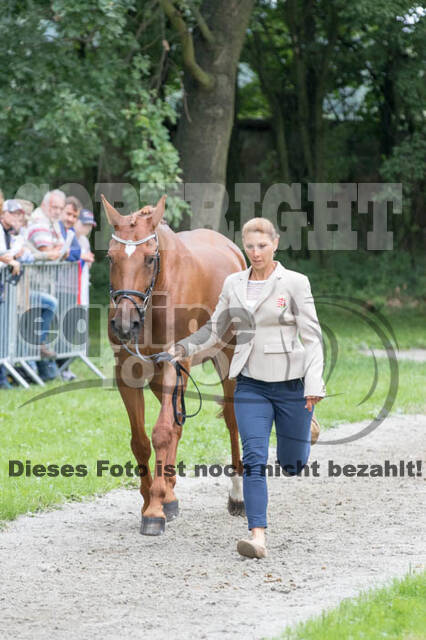 FEI European Championship Eventing 2017