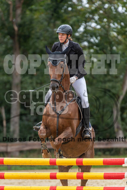 Vielseitigkeit RSV Wesel Obrighoven (26.+27.09.2020)