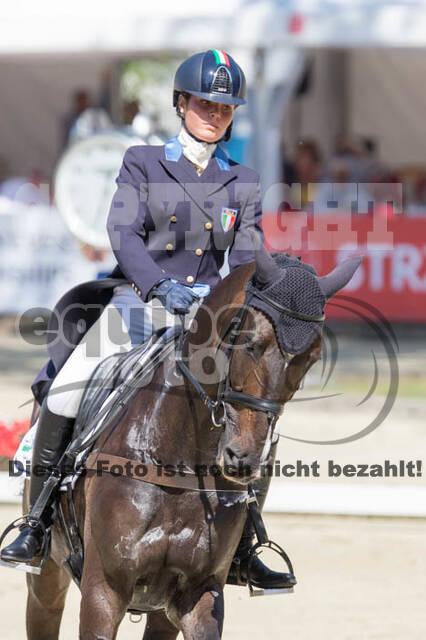 FEI European Championship