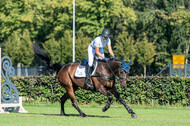Kronenberg - De Peelbergen (August 2020)
