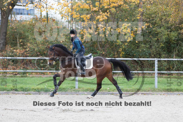 IGV Lehrgang der Sieger der Cups mit Frank Ostholt