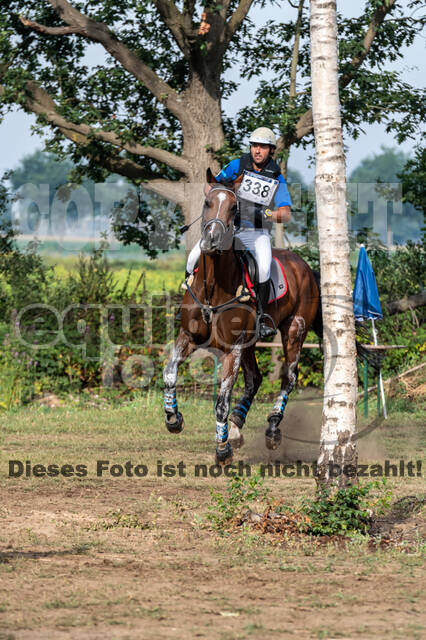 De Peelbergen (August 2020)