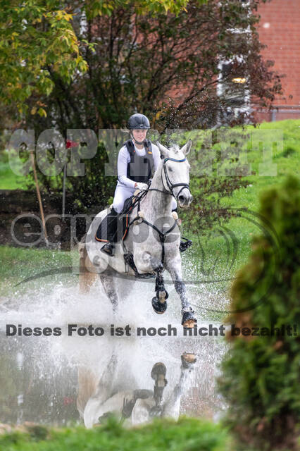 Goldene Schärpe 2020 - Pferde