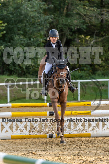 RFV Dinslaken-Hiesfeld (Herbstturnier)