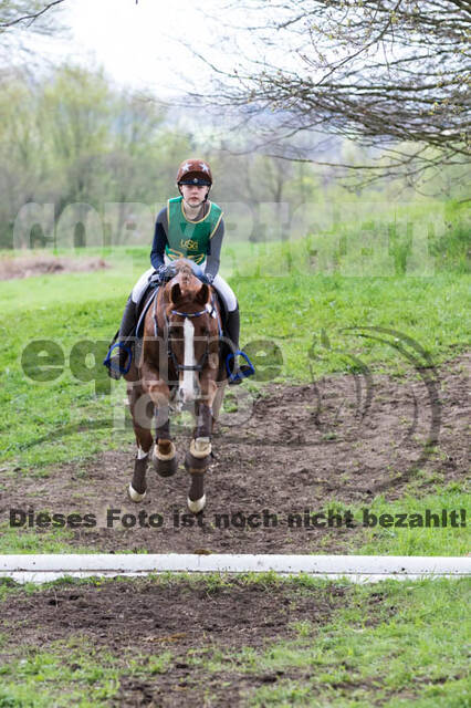 Vielseitigkeitsturnier RV Lippe-Bruch-Gahlen