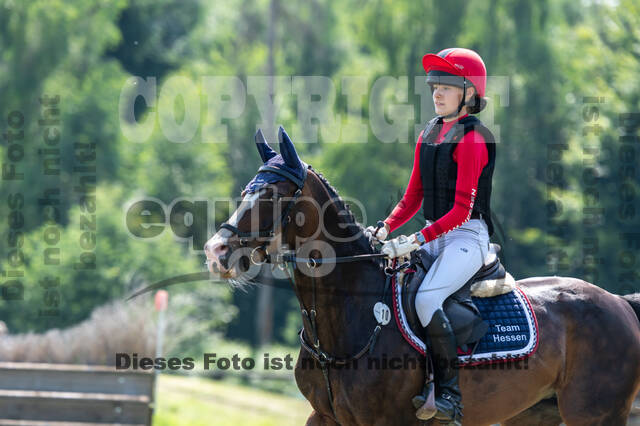 Goldene Schärpe 2021 - Ponys