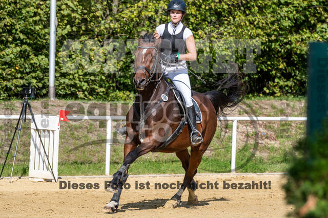 RFV Dinslaken-Hiesfeld (Herbstturnier)
