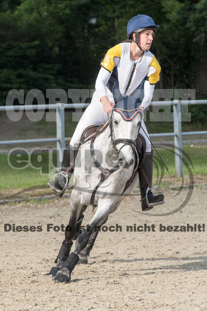 Eventing im Pferdesportzentrum Rheinland