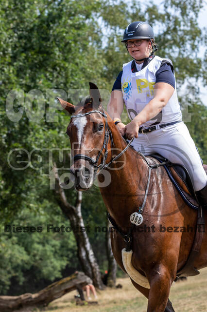 Late-Entry Vielseitigkeit Hamminkeln/Wesel (01.+02.08.2020)