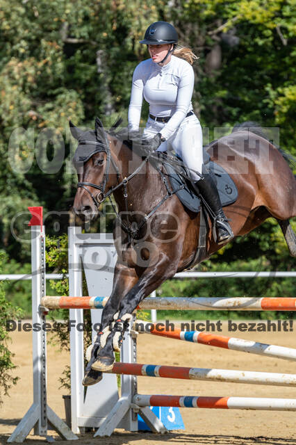 RFV Dinslaken-Hiesfeld (Herbstturnier)