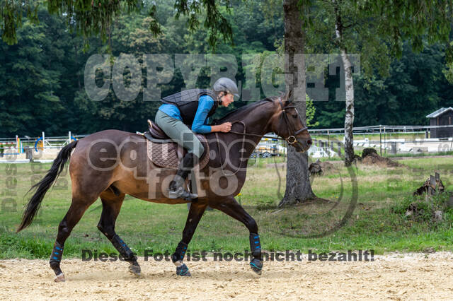 Hunter Geländetraining 10.07.2021 (Sonsbeck)
