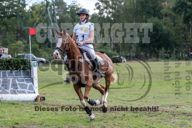 Vielseitigkeit RSV Wesel Obrighoven (26.+27.09.2020)