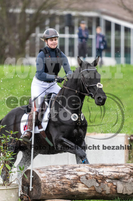 Goldene Schärpe 2020 - Pferde