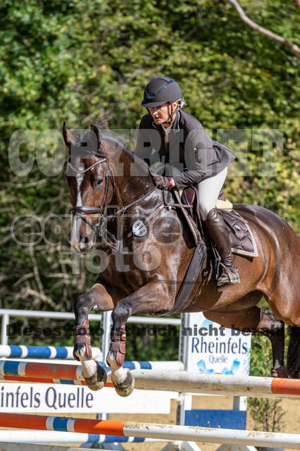 RFV Dinslaken-Hiesfeld (Herbstturnier)