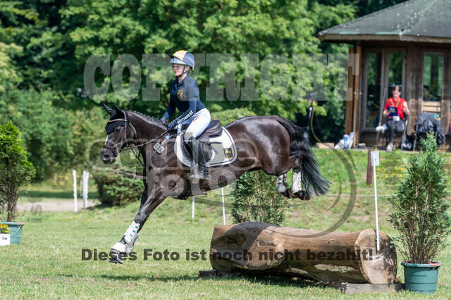 Goldene Schärpe 2021 - Ponys