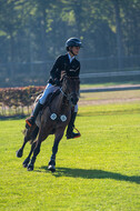 De Peelbergen (August 2020)